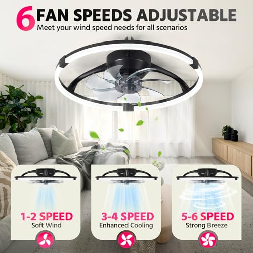 Lujeet 20 Inch Fandelier Ceiling Fan with Lights and Remote Black