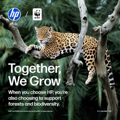 HP DeskJet 2955 All-in-One Printer - Black