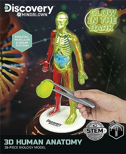 Discovery Toy Human Anatomy Kit