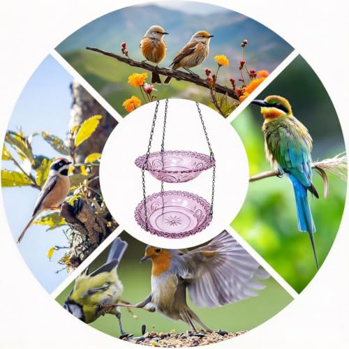 Outdoor 2-Tier Hanging Bird Feeder Hummingbird Bathing Tray for Gardens Patios and Backyards Decorative Birdbath for Birdwatching and Feeding