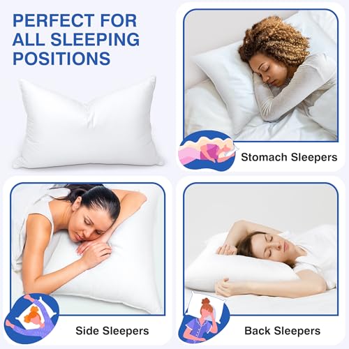 zibroges Goose Feather Pillow Queen Size Pack of 2, Medium Bed Pillows