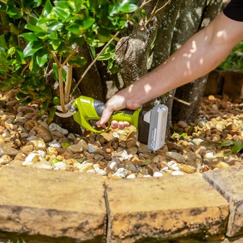 Sun Joe 24-Volt IONMAX Cordless Handheld and Long-Reach Pruner and Lopper Tool