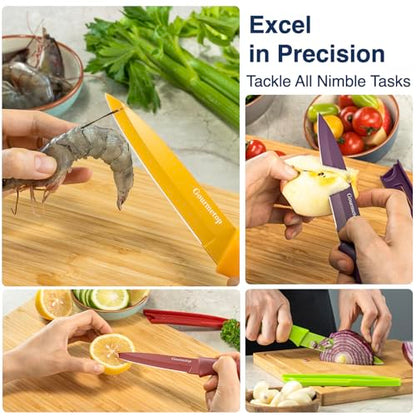 Gourmetop Paring Knife Set of 4, 3.8” Fruit Knife with Cover, German Steel