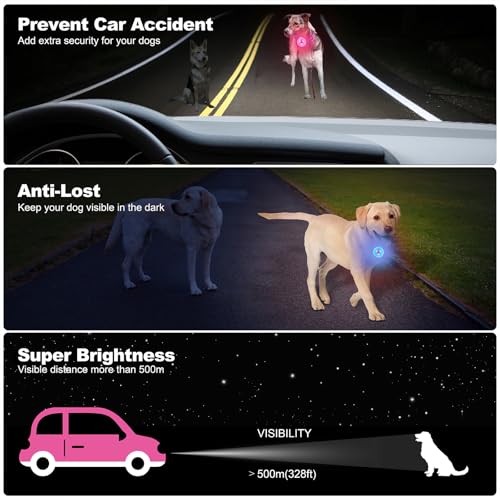 AHJ Dog Collar Light, 2 Pack Dog Safety Lights for Night Walking, USB-C Rechargeable Light Clip-On LED for Kids' Backpacks, Dogs, Runners, Joggers, Cyclists, Camping & Hiking (Pink and Blue)