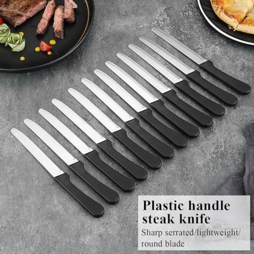 Steak Knives Set of 12, ReaNea Stainless Steel Steak Knife Set, Serrated Steak Knives, Gifts for Home, Restaurant, Parties, Wedding, Camping, Outdoor