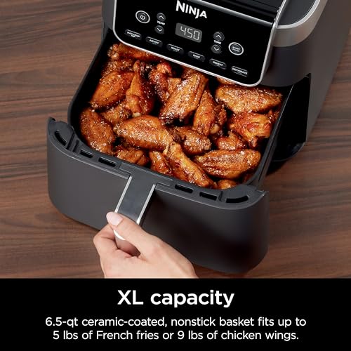 Ninja Air Fryer XL with MaxCrisp, 6.5 Qt/6.2L, 6-in-1, Grey, AF181C