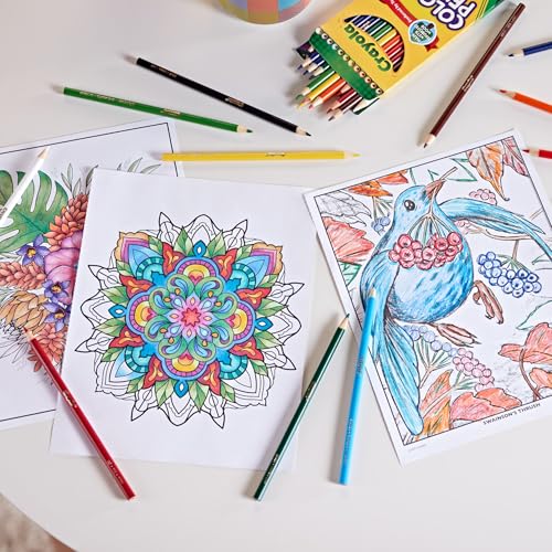 Crayola Bulk Coloured Pencils for Kids (3 packs) - 12 Assorted Colours, Art Supplies For Crafts & Colouring Books, Bulk Preschool & Kindergarten Classroom Supplies