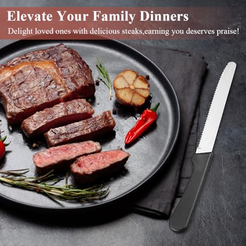 Steak Knives Set of 12, ReaNea Stainless Steel Steak Knife Set, Serrated Steak Knives, Gifts for Home, Restaurant, Parties, Wedding, Camping, Outdoor