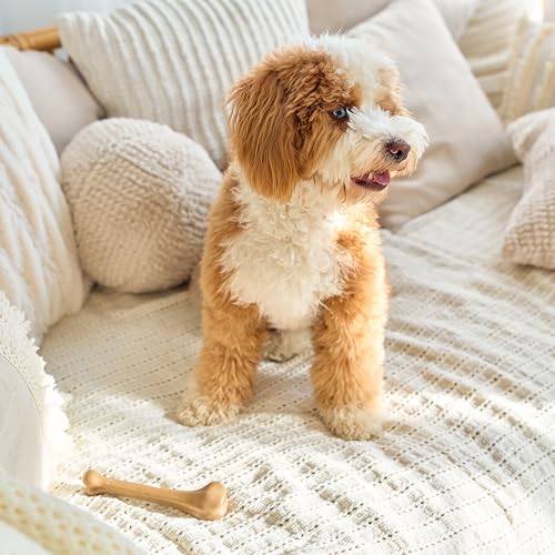 Ethical Pets 54316 Bambone Bone Chicken Pet Chew Toys
