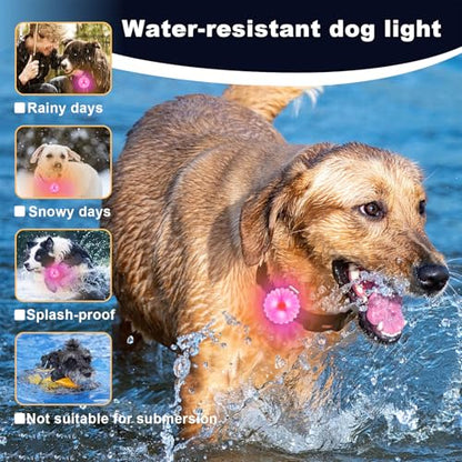 AHJ Dog Collar Light, 2 Pack Dog Safety Lights for Night Walking, USB-C Rechargeable Light Clip-On LED for Kids' Backpacks, Dogs, Runners, Joggers, Cyclists, Camping & Hiking (Pink and Blue)