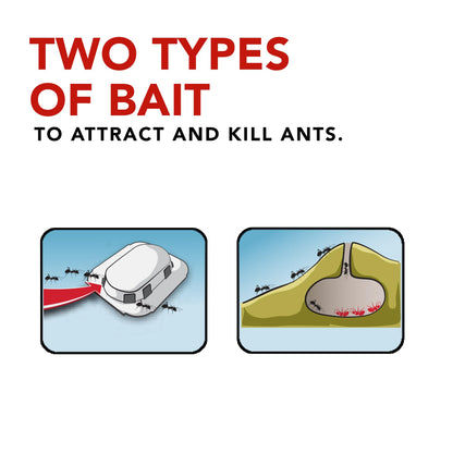 Raid Ant Killer Baits and Traps, Kills Ants Where They Breed, for Indoor Use, Child Resistant, 4 Bait Stations