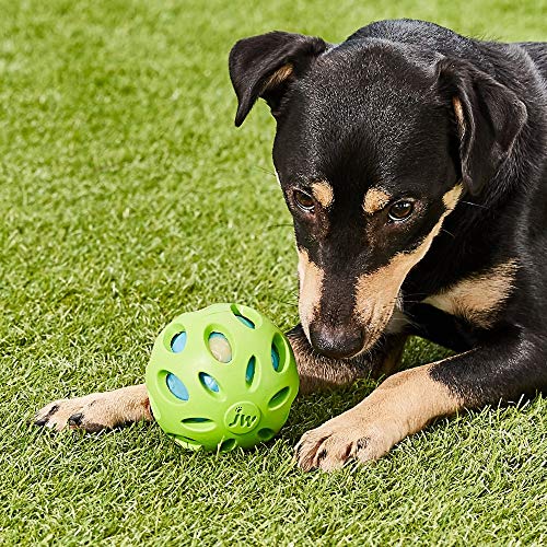JW Pet Company Crackle Heads Crackle Ball Dog Toy, Medium, Colors Vary