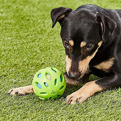 JW Pet Company Crackle Heads Crackle Ball Dog Toy, Medium, Colors Vary
