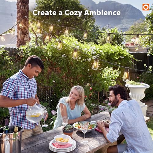 addlon 102FT(96FT+6) Solar String Lights Outdoor with Remote, Waterproof