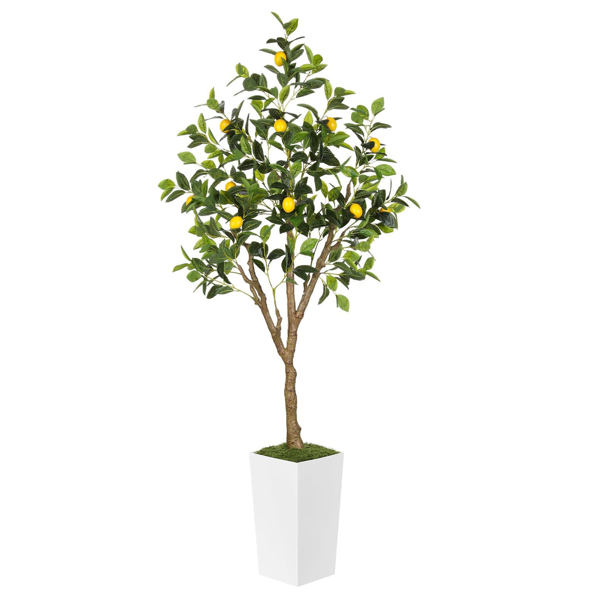 PHYTREE 6FT Artificial Lemon Tree with White Tall Planter & Fruits