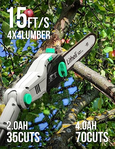 Litheli Cordless Pole Saw 10-Inch, 20V Battery-Powered Pole Saws for Tree Trimming, Tree Trimmer for Branch Cutting, Trimming, Pruning, with 2.0Ah Battery & Charger