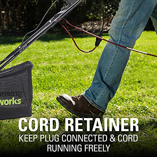 Greenworks 13 Amp 14-Inch Corded Dethatcher/Scarifier, DT13B00