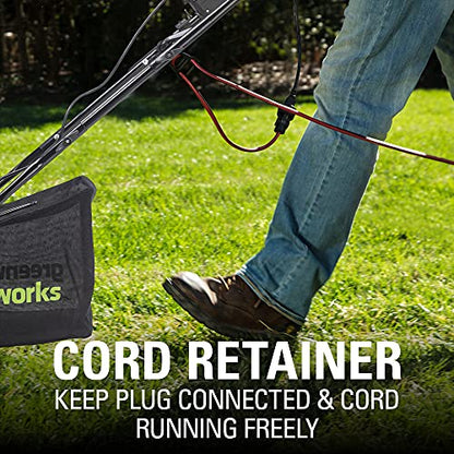 Greenworks 13 Amp 14-Inch Corded Dethatcher/Scarifier, DT13B00