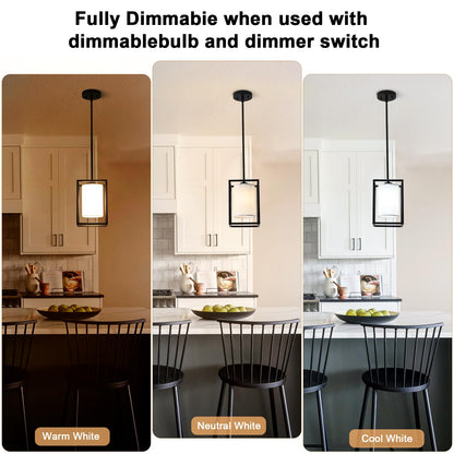 Black Pendant Lights Kitchen Island 2 Pack, Modern Small Lantern Kitchen Pendant Lighting Over Island, Farmhouse Kitchen Island Lights Ceiling Hanging, Industrial Cage Pendant Light Fixtures
