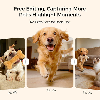 Robot M3 3K Pet Camera Treat Dispenser with 32ft Remote Tossing for Dogs & Cats – Reduces Separation Anxiety, 360° View, Indoor Security Camera with Phone App, Barking Alerts, No Subscription, 5G WiFi