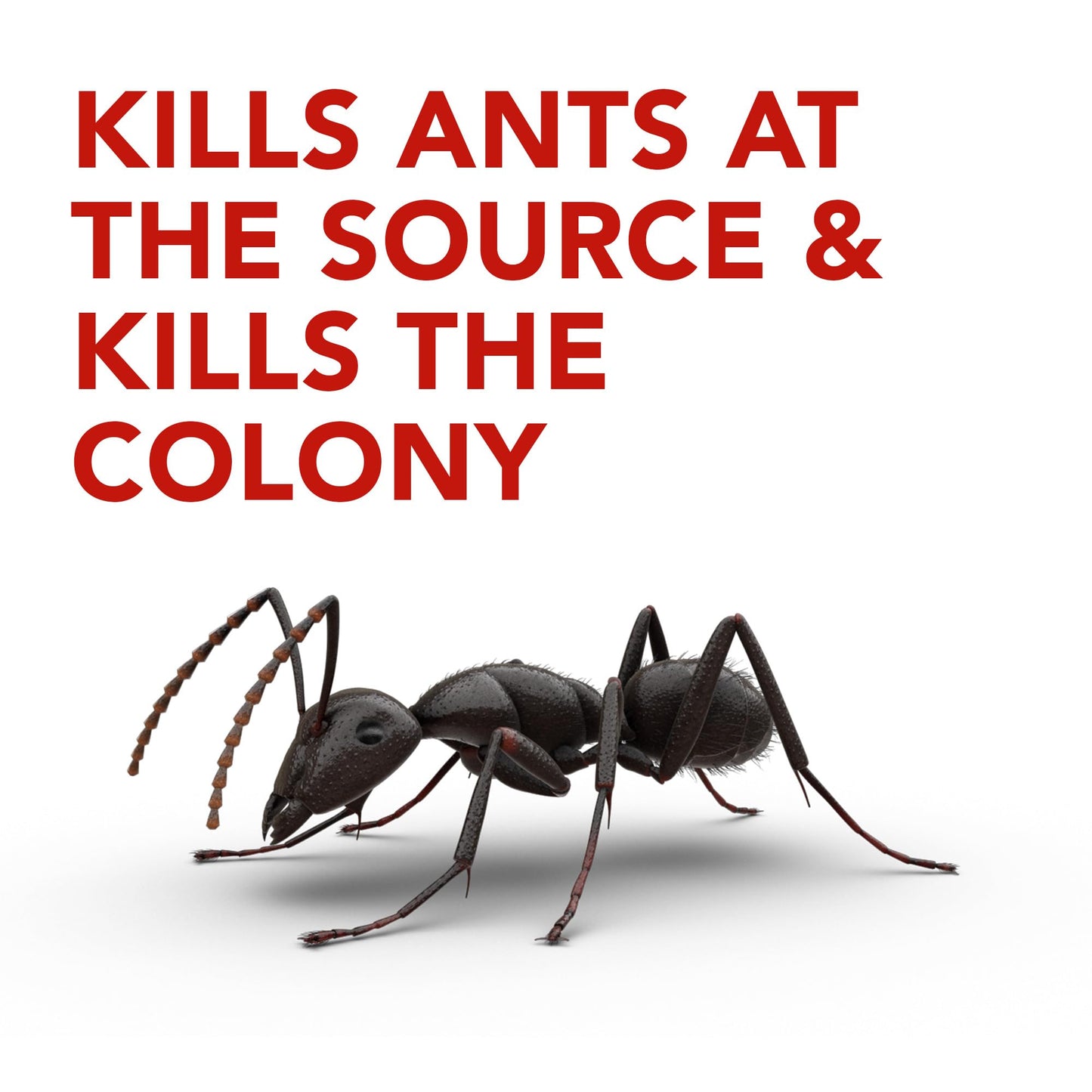 Raid Ant Killer Baits and Traps, Kills Ants Where They Breed, for Indoor Use, Child Resistant, 4 Bait Stations