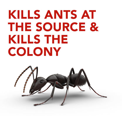 Raid Ant Killer Baits and Traps, Kills Ants Where They Breed, for Indoor Use, Child Resistant, 4 Bait Stations