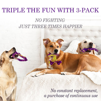 Frienhund Dog Toys for Aggresseive Chewers: Tough Dog Toy for Large Dogs, 3-Pack Indestructible Dog Toys to Keep Them Busy, Dog Chew Toy for Large Breeds, Safe and Non-Toxic Dog Toys, Purple