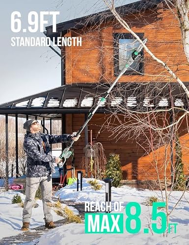 Litheli Cordless Pole Saw 10-Inch, 20V Battery-Powered Pole Saws for Tree Trimming, Tree Trimmer for Branch Cutting, Trimming, Pruning, with 2.0Ah Battery & Charger