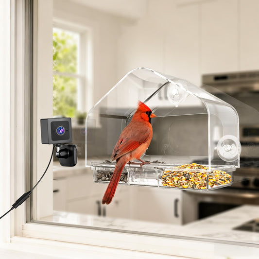 Richbird Waterproof Smart Window Bird Feeder Camera with AI, All-Weather 2K HD Live View & Secure Suction Mount - The Ultimate Outdoor Gift for Bird Watchers