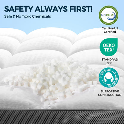 LovingLeashes Mattress Topper,Extra Thick 1000 GSM Pillow Top Mattress Pad for Back Pain Relief,Soft Breathable Mattress Cover for Fluffy Shredded Memory Foam Filled (Queen, 60"x80")