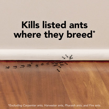 Raid Ant Killer Baits and Traps, Kills Ants Where They Breed, for Indoor Use, Child Resistant, 4 Bait Stations