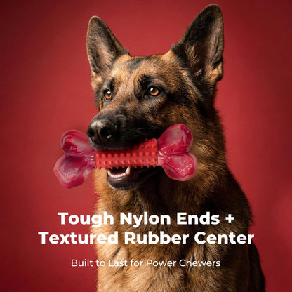 Apasiri Tough Dog Toys for Aggressive Chewers: Beef Flavored Long Lasting Dog Bones for Large Dogs, Indestructible Dog Chew Toys to Keep Them Busy, Large Dog Toys for Medium & Large Breed, Red