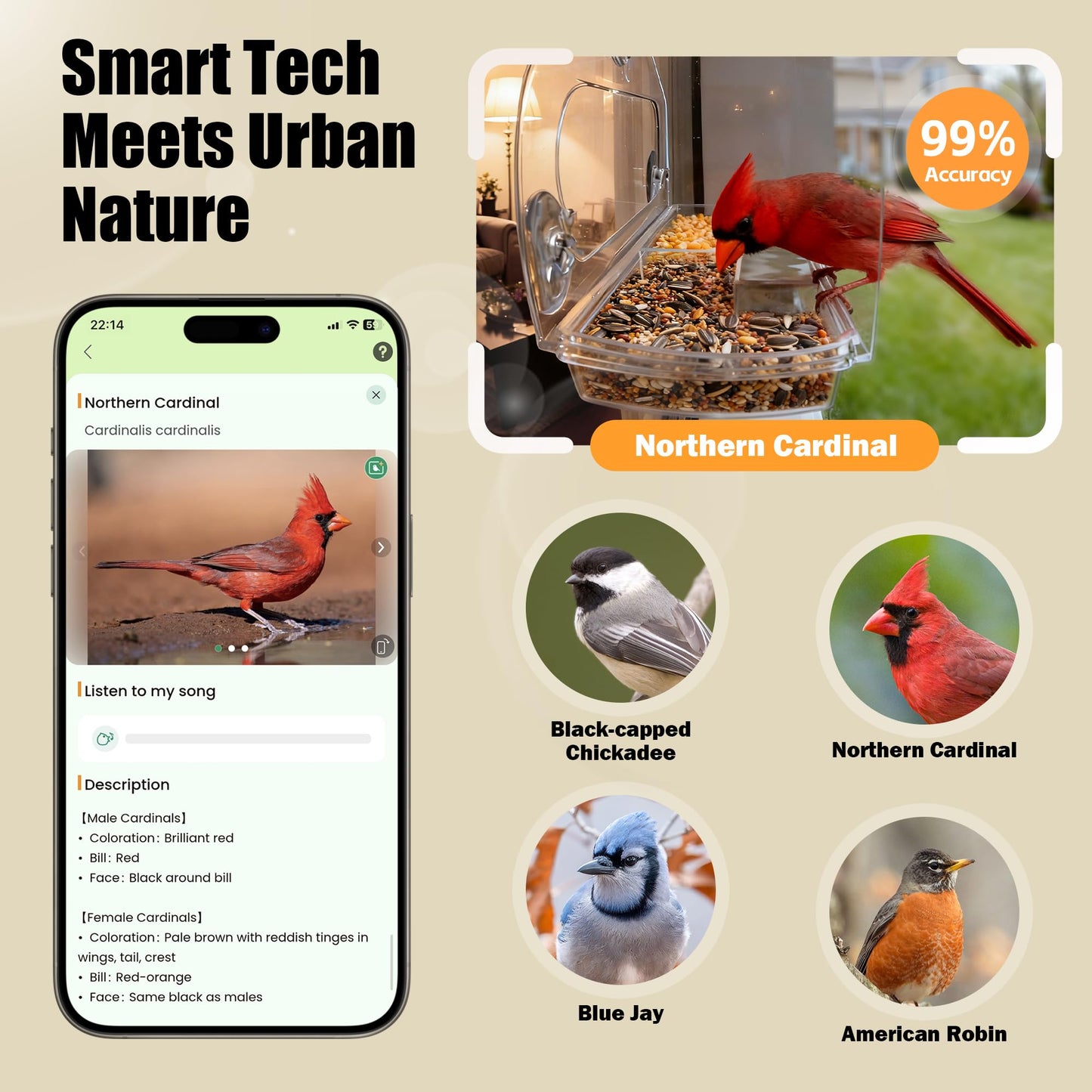 Richbird Waterproof Smart Window Bird Feeder Camera with AI, All-Weather 2K HD Live View & Secure Suction Mount - The Ultimate Outdoor Gift for Bird Watchers