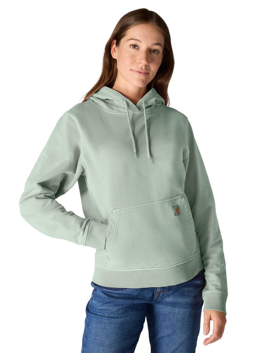 Carhartt Women's Relaxed Fit Midweight Garment Dye French Terry Hooded Sweatshirt, Seabrook, Small