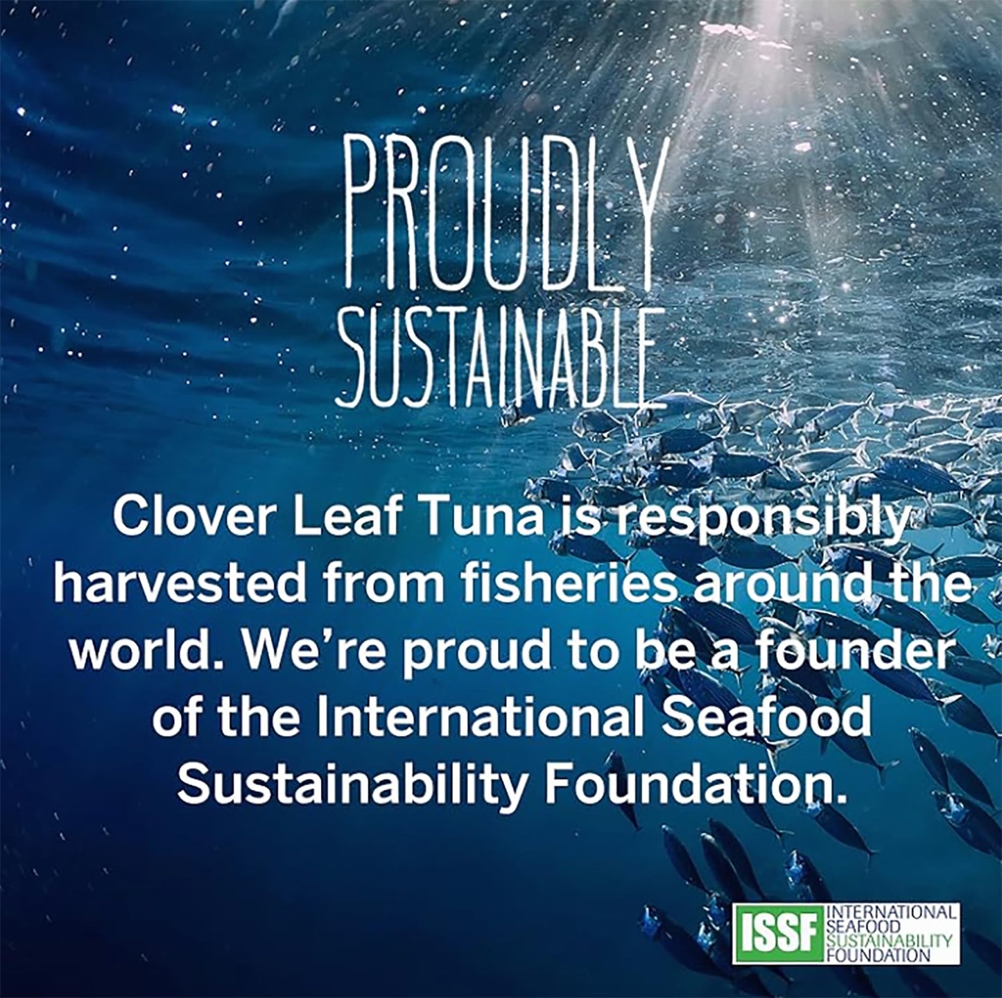 Clover Leaf Chunk Light Skipjack Canned Tuna in Water, 170g, 24 Count