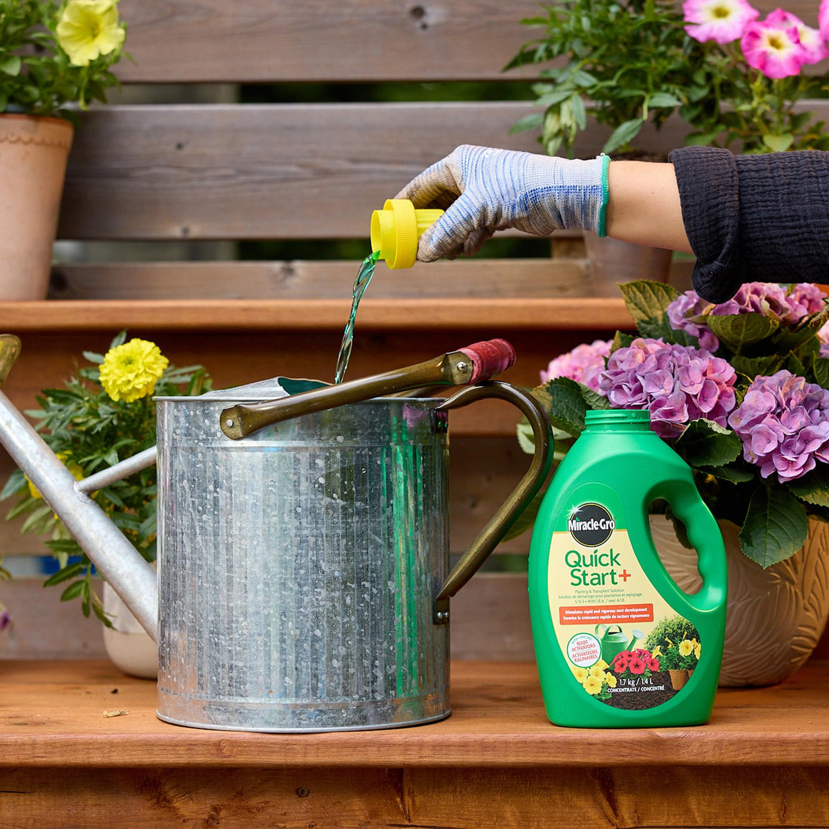Miracle-Gro® Quick Start®+ Planting & Transplant Solution 5-15-5 1.4L