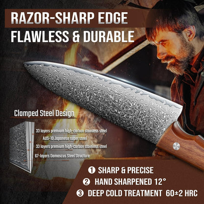 DRAGON RIOT Damascus Chef Knife Set, 2pcs VG10 Steel Kitchen Knife Set, Ultra Sharp Blade & Ergonomic Wooden Handle, Full Tang Forged Damascus Kitchen Cooking Knife Set with Gift Box,Christmas Gift
