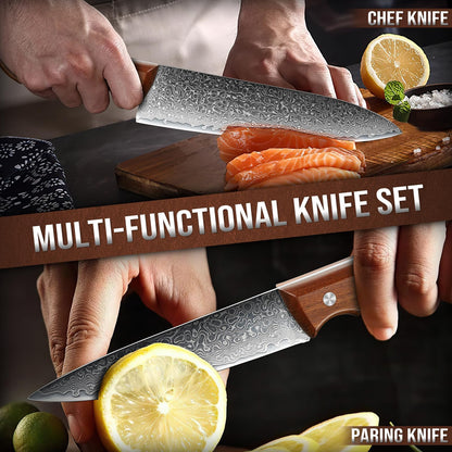 DRAGON RIOT Damascus Chef Knife Set, 2pcs VG10 Steel Kitchen Knife Set, Ultra Sharp Blade & Ergonomic Wooden Handle, Full Tang Forged Damascus Kitchen Cooking Knife Set with Gift Box,Christmas Gift