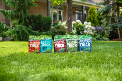 Scotts Turf Builder Quick + Thick Low Maintenance Grass Seed Mix, 1.2kg (182 sq Meters / 1,965 sq feet Coverage) | Grow Thick Green Grass with Less Work, Less Mowing (Easy Lawn Care)