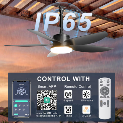 Phylluz 42 Inch Waterproof Outdoor Ceiling Fan with Light, Modern Ceiling Fans with 3 Colors LED Light, App & Remote Control, Quiet DC Motor, for Patios Gazebo, Black