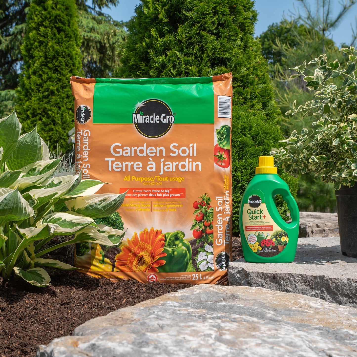 Miracle-Gro® Quick Start®+ Planting & Transplant Solution 5-15-5 1.4L