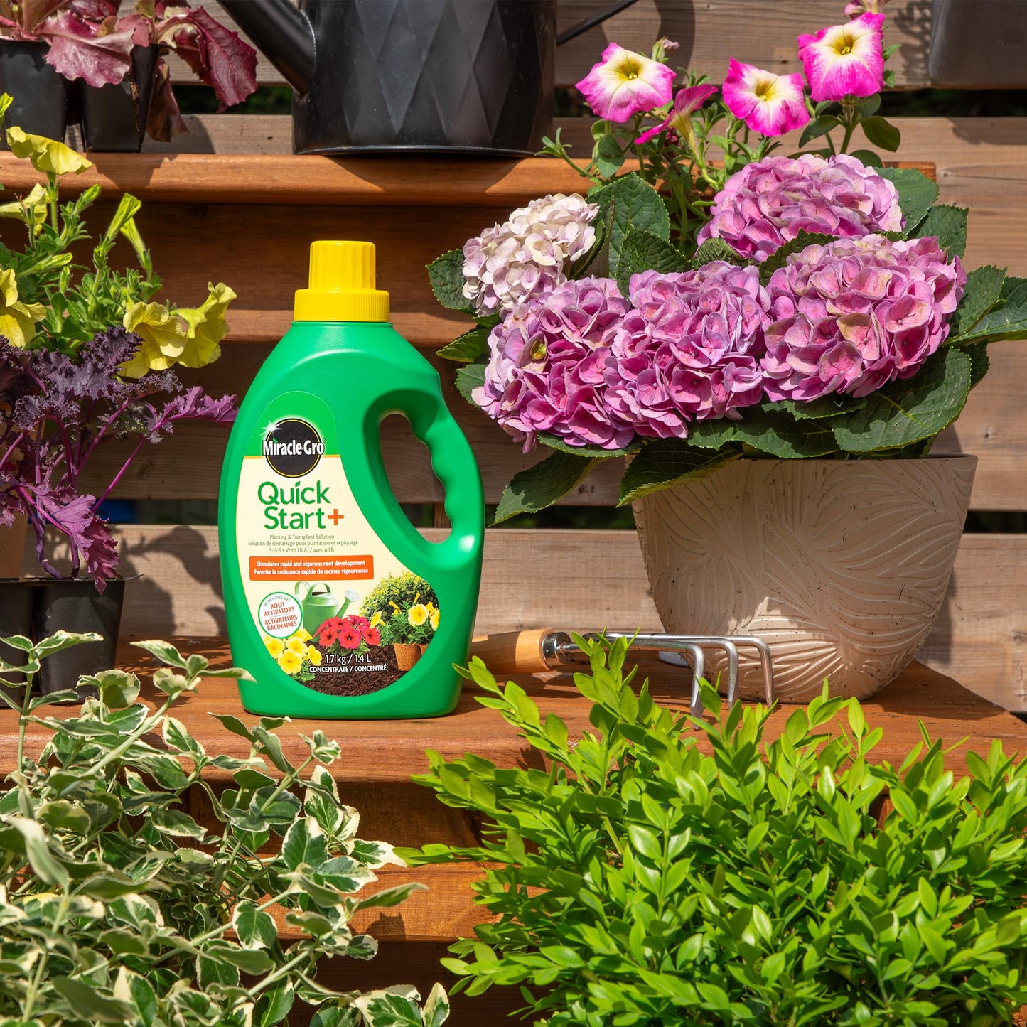 Miracle-Gro® Quick Start®+ Planting & Transplant Solution 5-15-5 1.4L